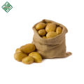 Bangladesh Fresh Vegetable Potato/ New crop fresh potato